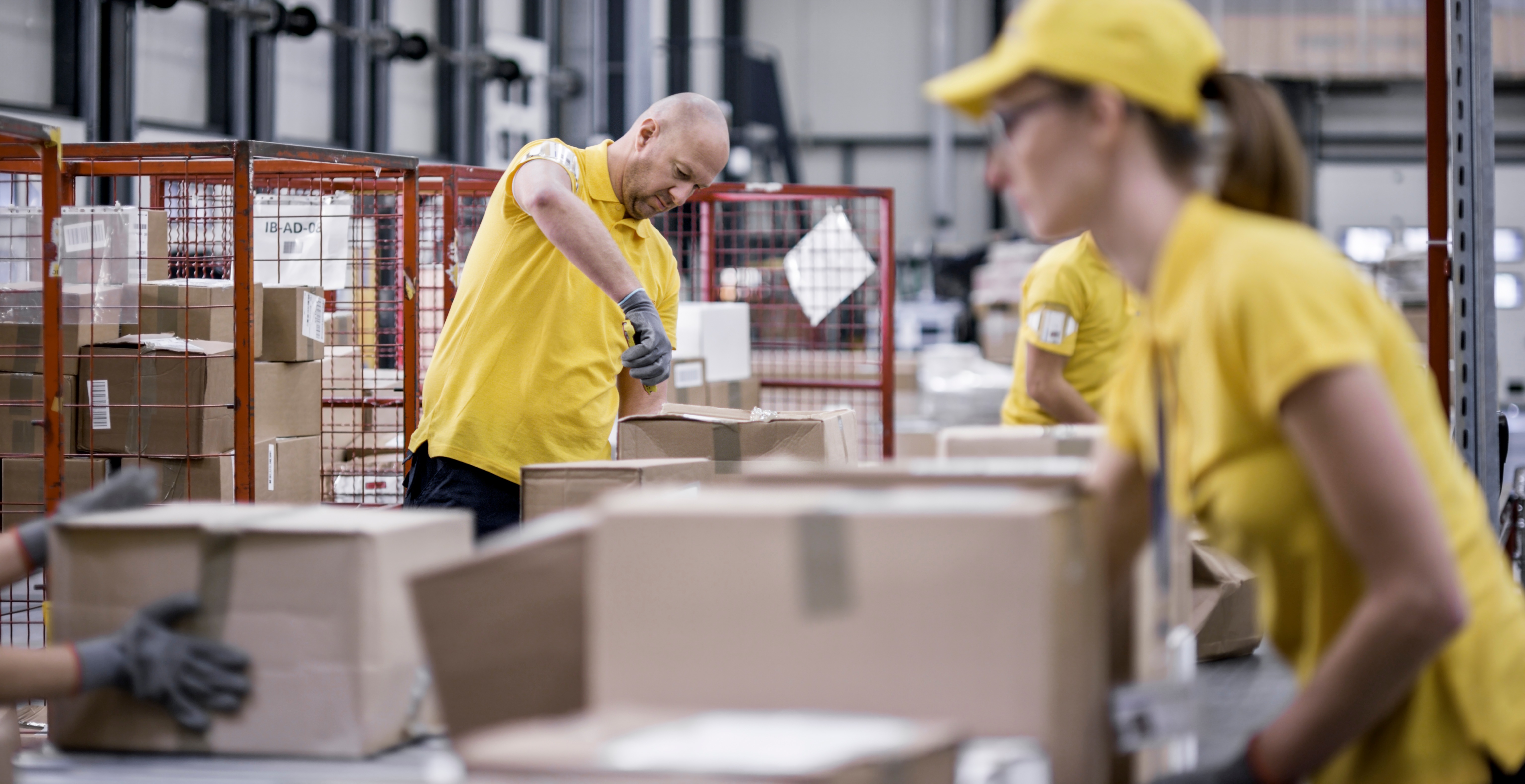 emballage-professionnel-entreprise-rep