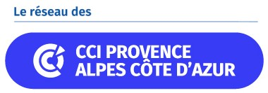 LOGO_CCIR logo reseau cci paca