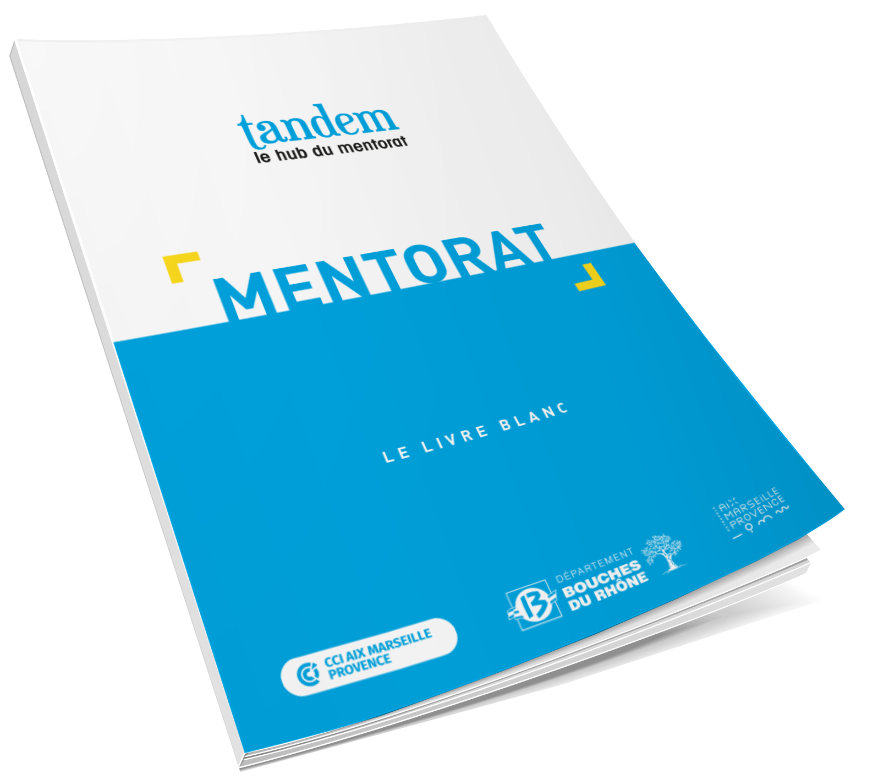 visuel livre blanc mentorat