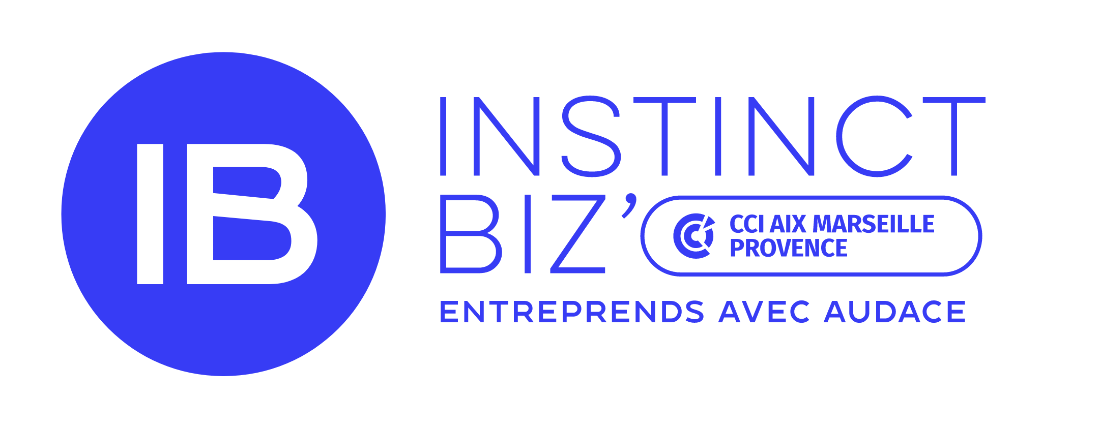 logo IB Instinct Biz