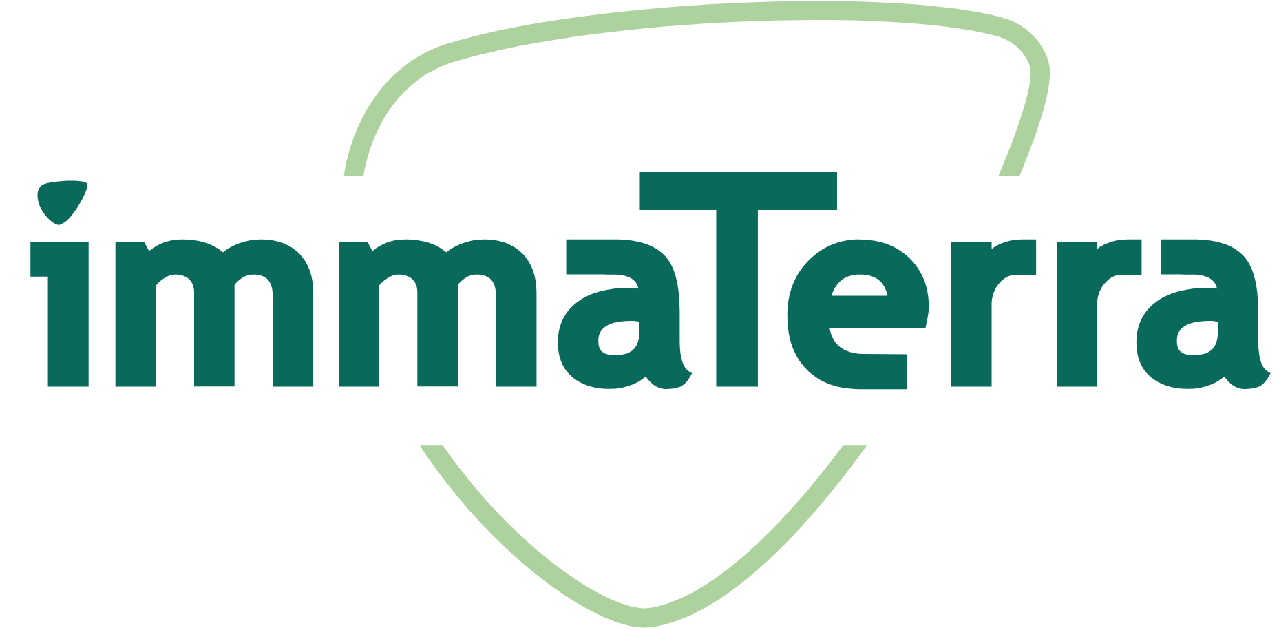 logo imm terra