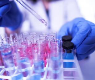 appel_a_projets_secteurs_strategiques