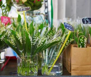 muguet cciamp covid-19