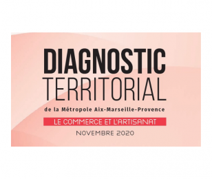 Diagnostic territorial sur le commerce