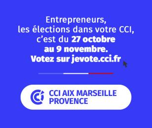 Elections consulaires : pourquoi et comment voter ?