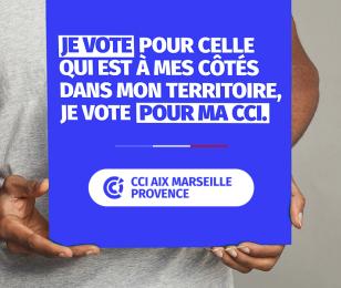 Elections consulaires : qui peut voter ?