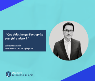 Positive Business Place Guillaume Anselin