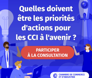 Consultation réseau des CCI