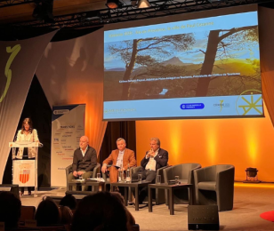 année cezanne 2025-1