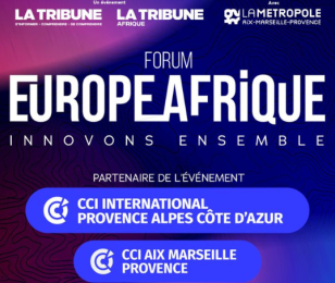 forum europe afrique 2025-3