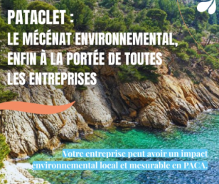 pataclet 2026-1