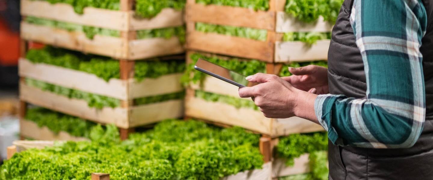 enquete grossistes cciamp