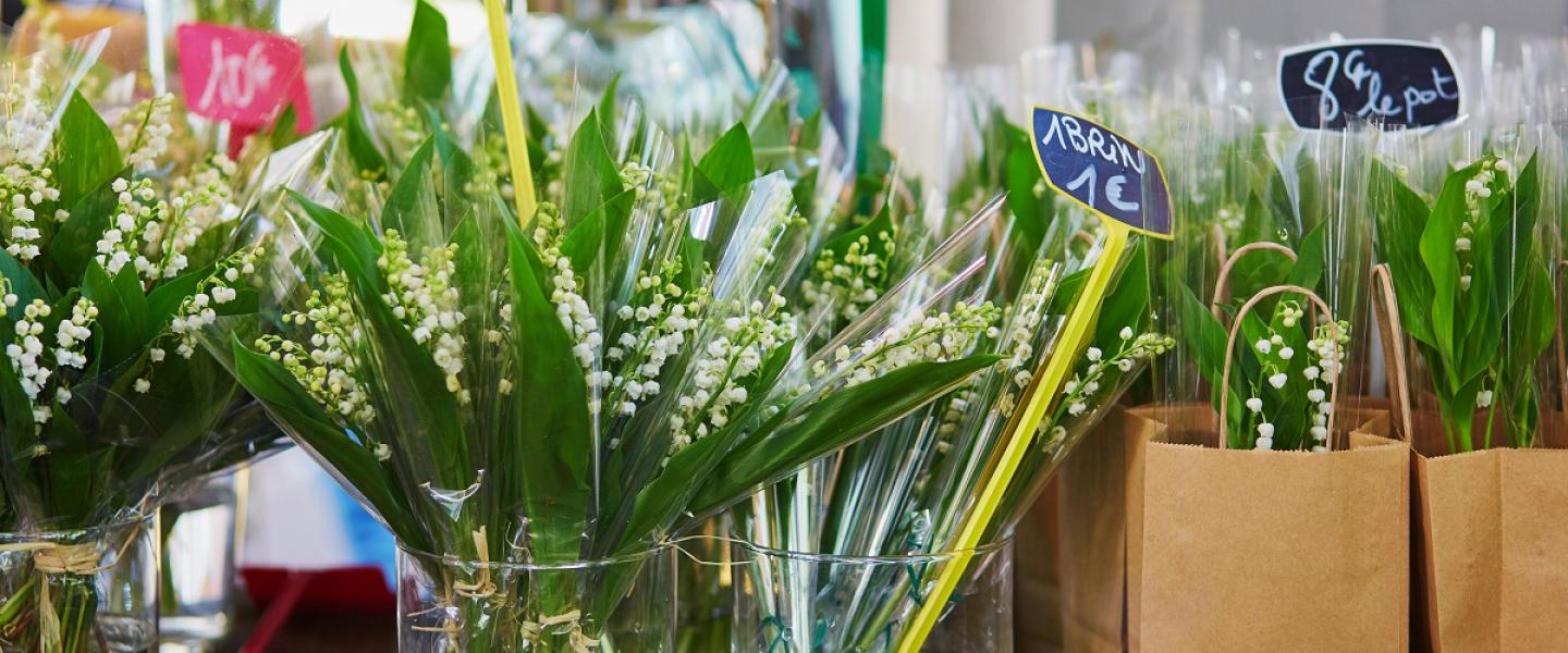 muguet cciamp covid-19