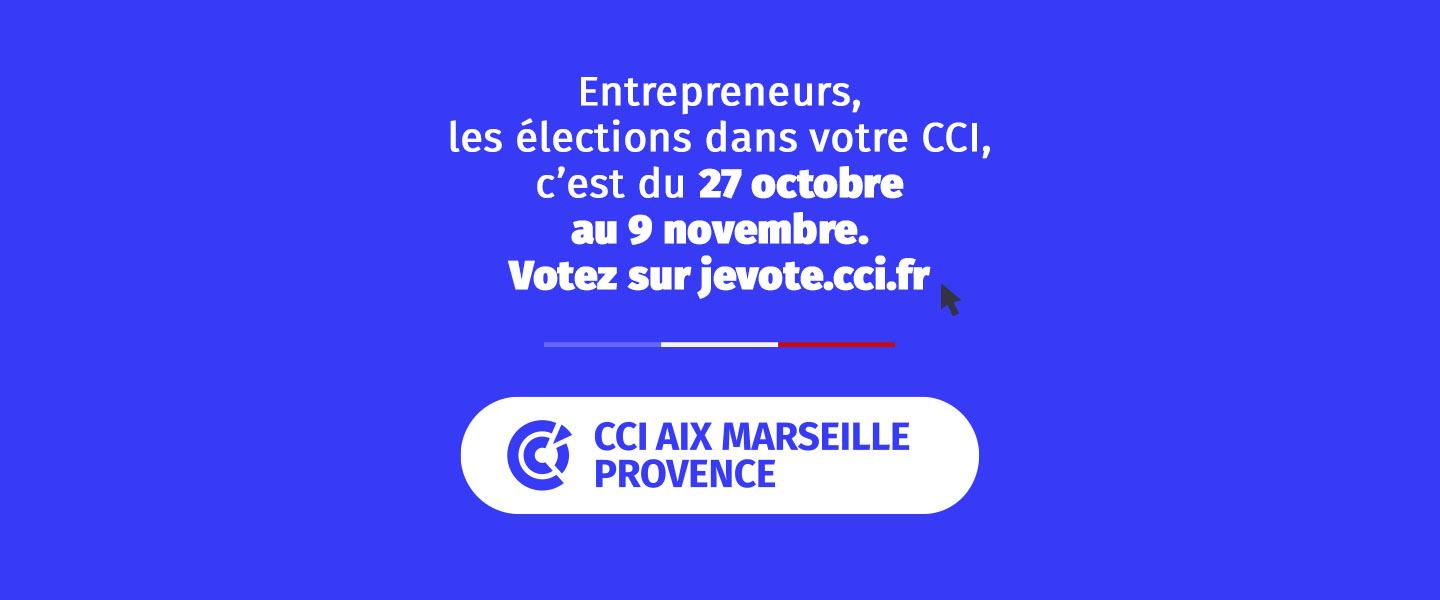 Elections consulaires : pourquoi et comment voter ?