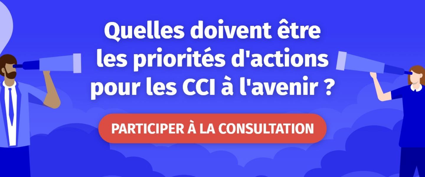 Consultation réseau des CCI