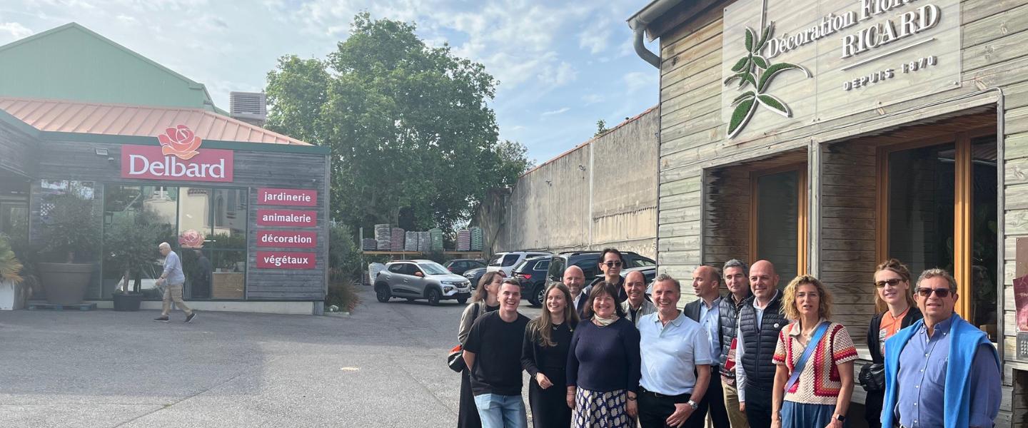 centaures jardinerie Delbard Ricard 2