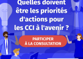 Consultation réseau des CCI