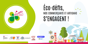 Visuel Eco Defis cciamp