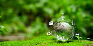 Diagnostic carbone CCIAMP