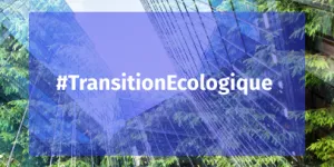 Visuel CCIAMP Transition Ecologique