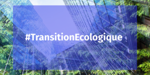 Visuel CCIAMP Transition Ecologique